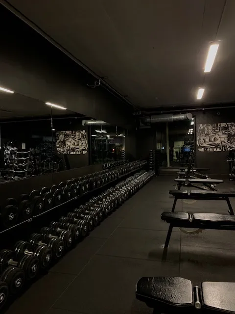 A dark picture of a gym's dumbbells in a row of several benches, in the middle of the night, with little light.